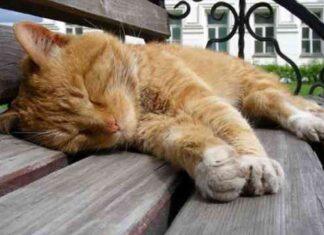 Қоғамдық маңызы бар іс