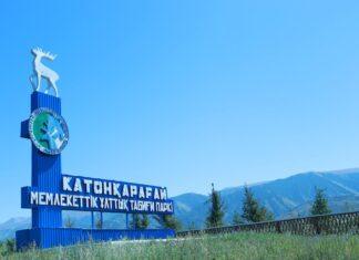 Шығысқа сапар: Қатонқарағай — Паром, тұқым бағы, пантамен емдеу